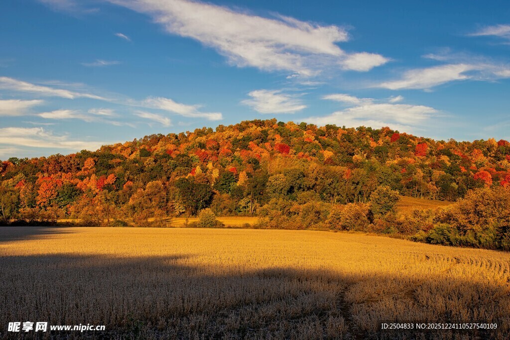 秋日田野与斑斓山林美景