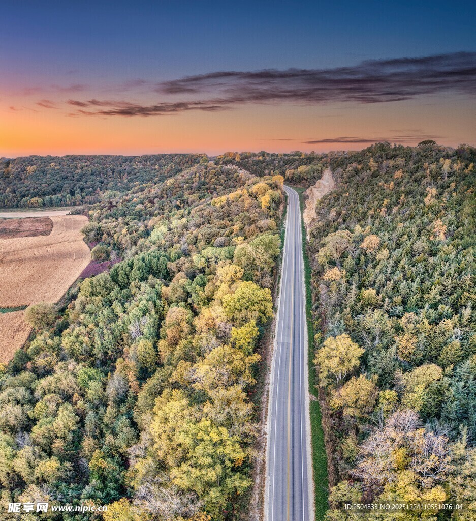 秋日公路穿林美景