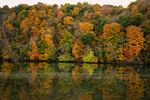 秋日湖畔斑斓树林倒影