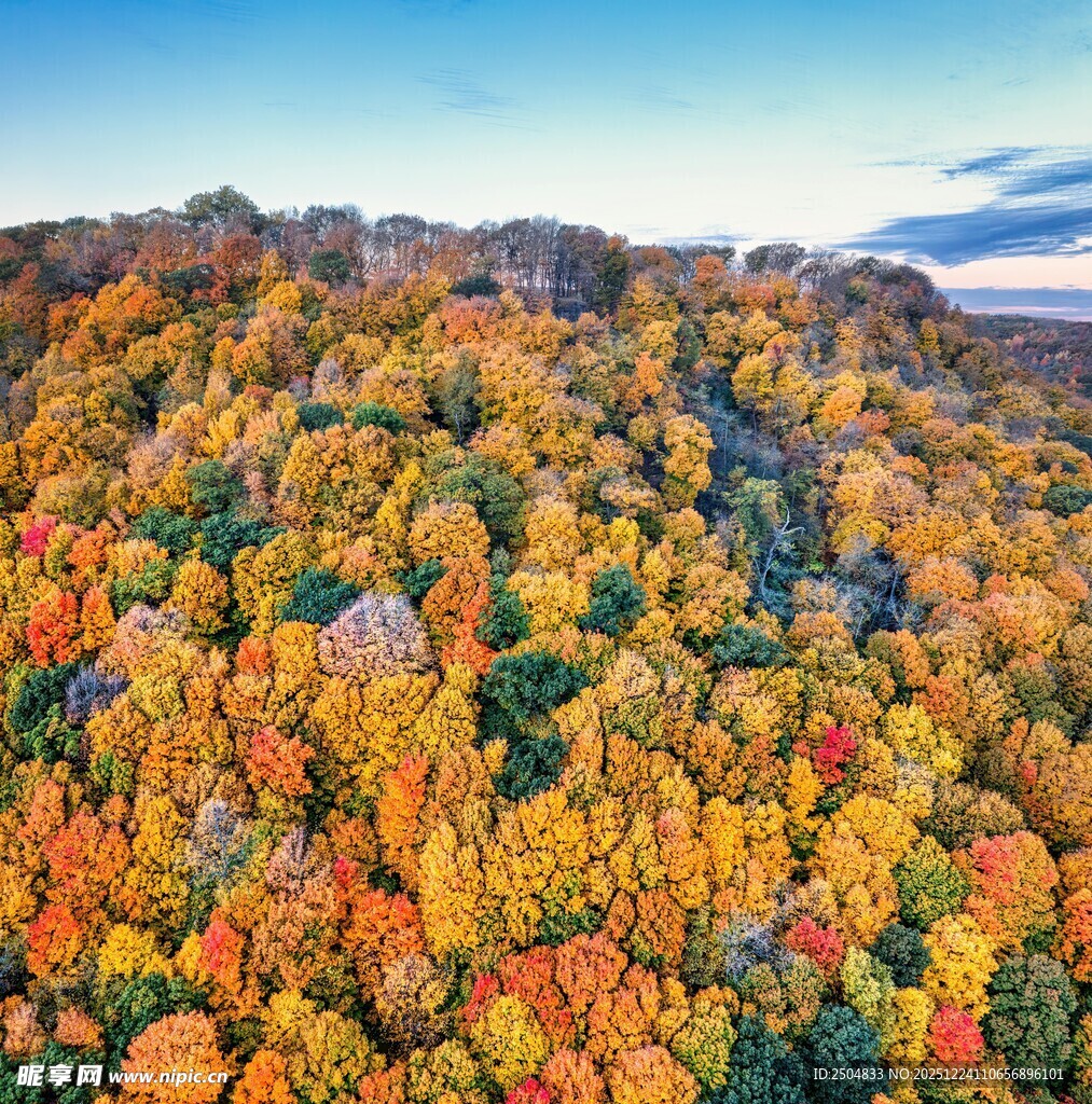秋日山林斑斓美景