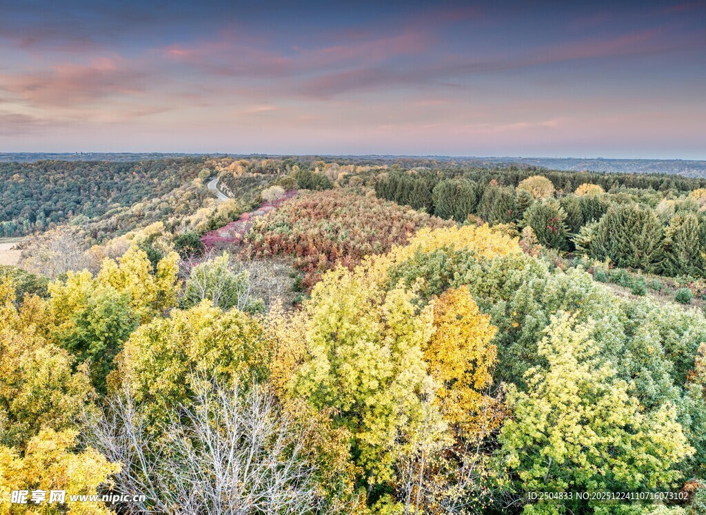 秋日山林绚丽风光