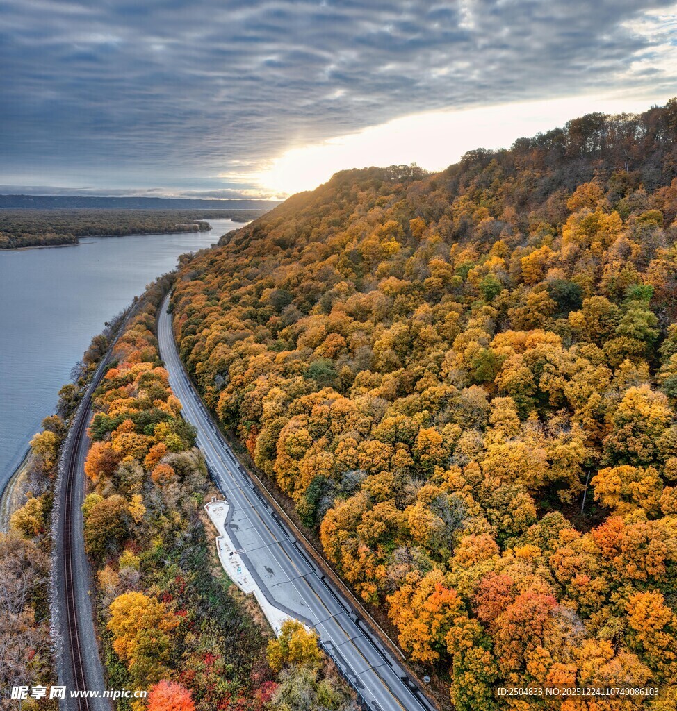 秋日公路旁绚烂多彩的树林
