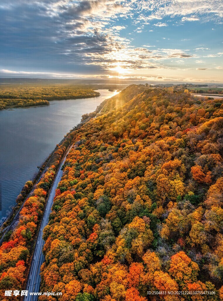 秋日河畔绚烂多彩的树林