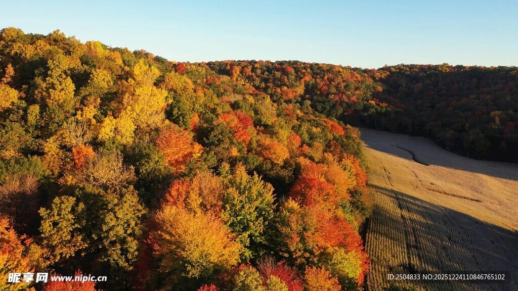 秋日山林斑斓美景