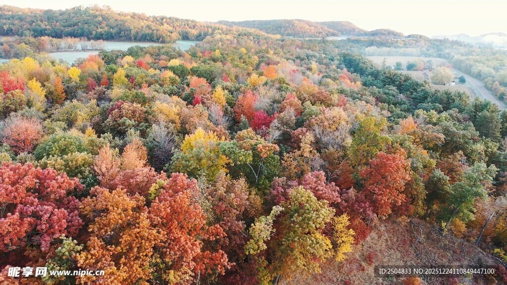 秋日山林斑斓美景