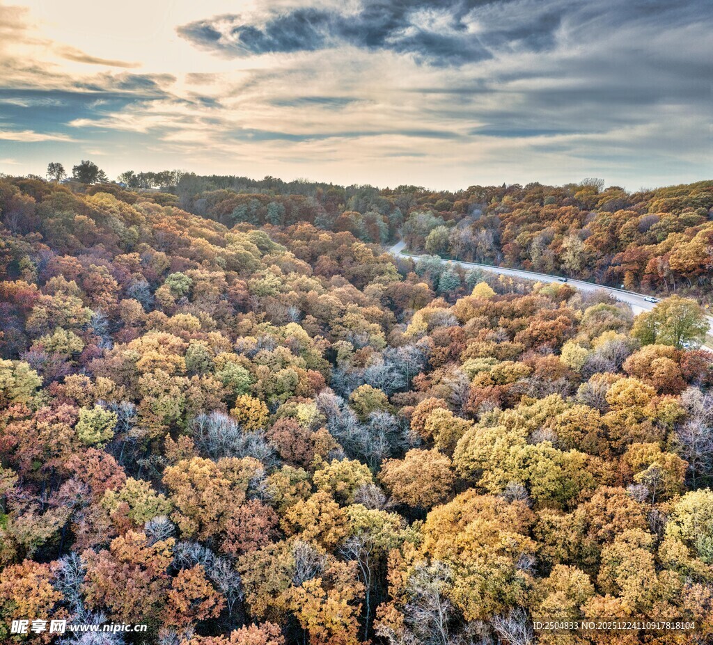 秋日山林间蜿蜒公路美景
