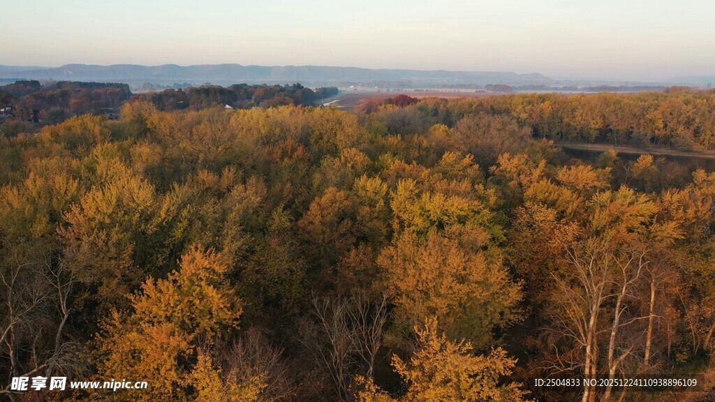 秋日森林俯瞰美景