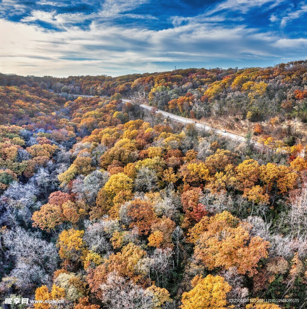 秋日山林间的蜿蜒公路