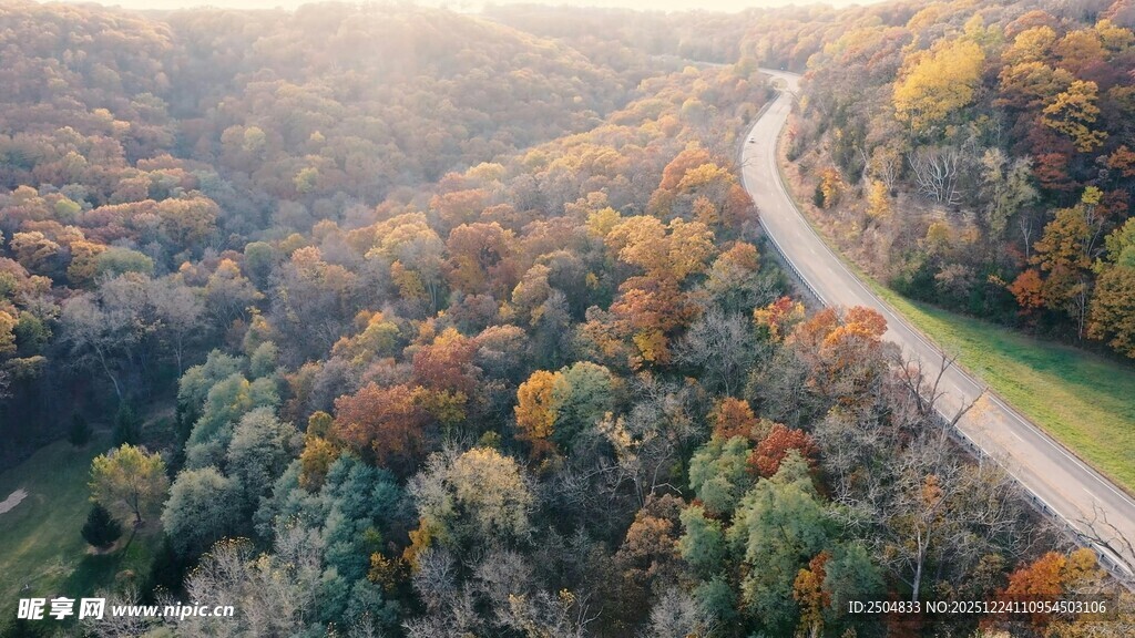 秋日蜿蜒公路的斑斓景致