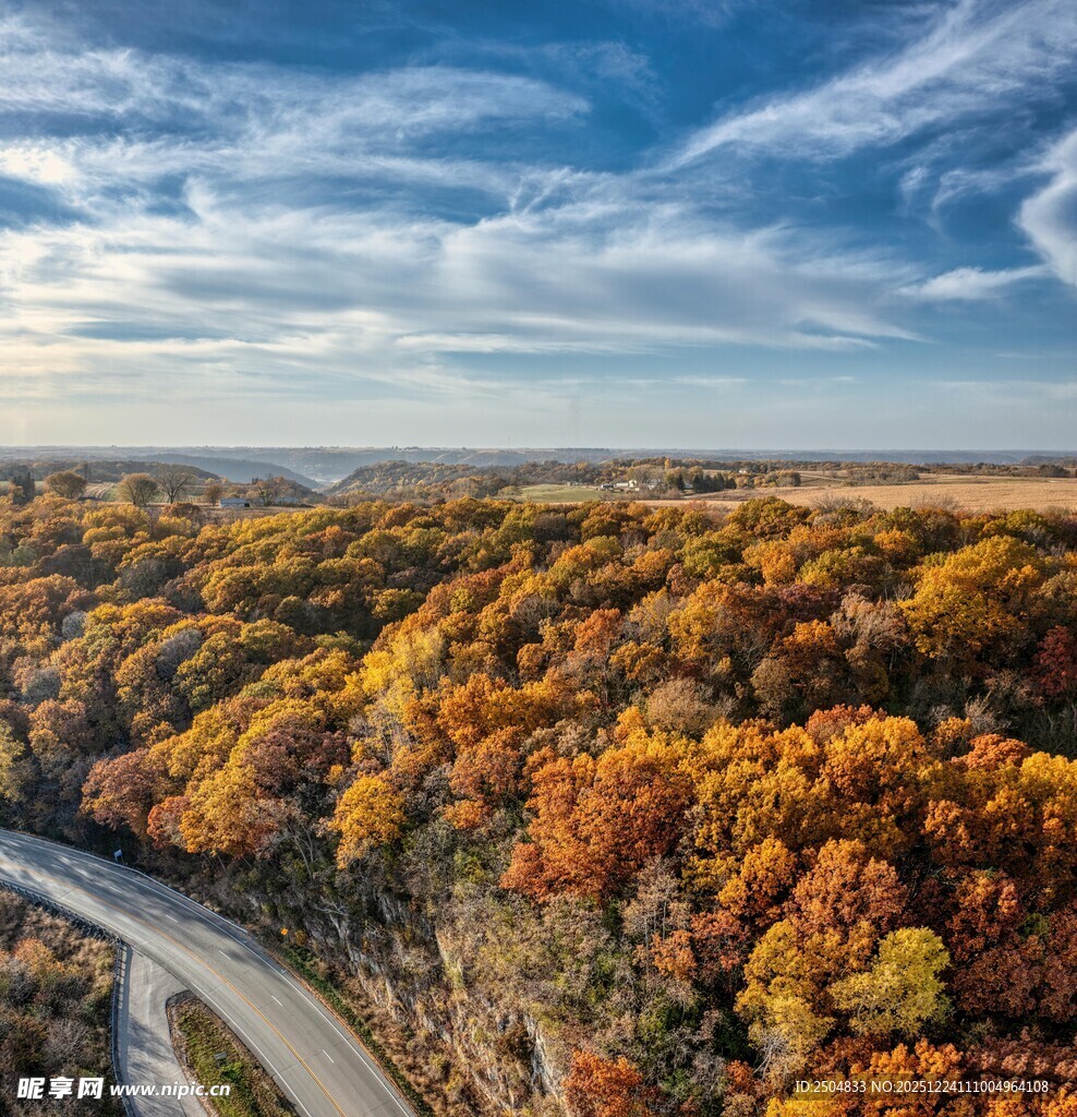 秋日公路穿行斑斓树林