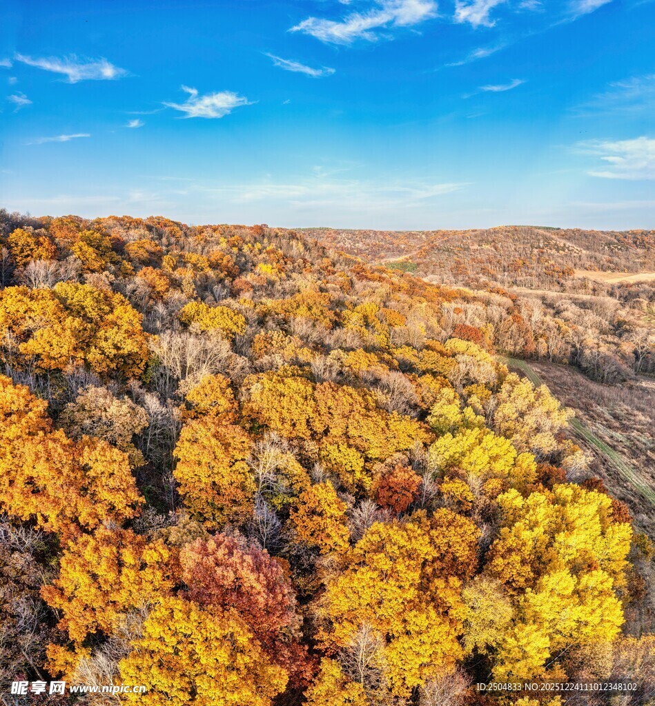 秋日山林斑斓美景