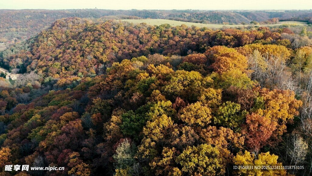 秋日山林斑斓美景