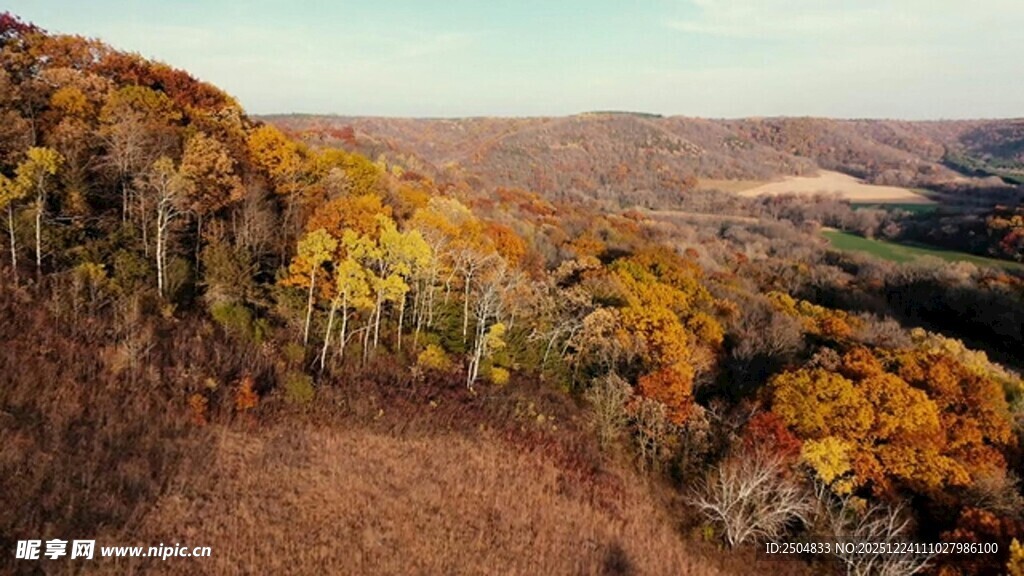 秋日山林绚丽风光