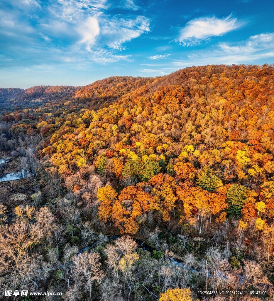 秋日山林斑斓美景
