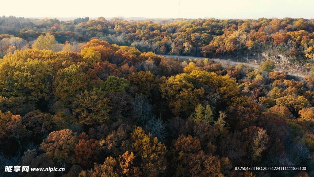 秋日山林航拍美景