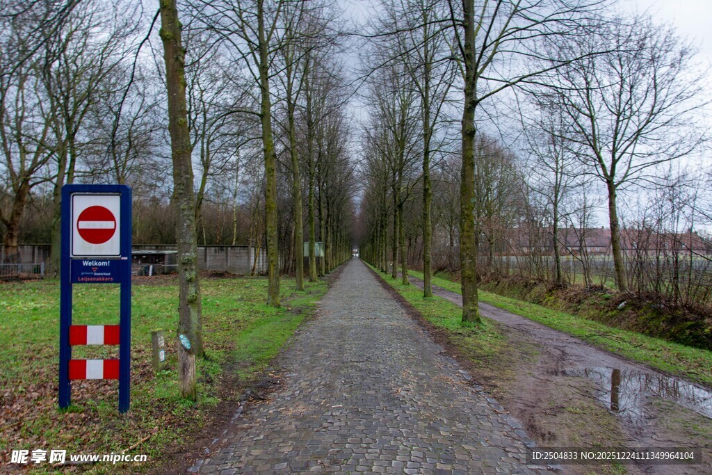 林间小道旁的交通指示牌