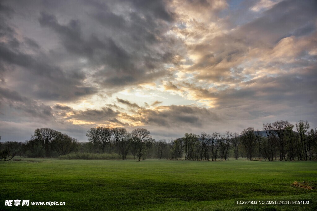 黄昏下的广袤草地与树林
