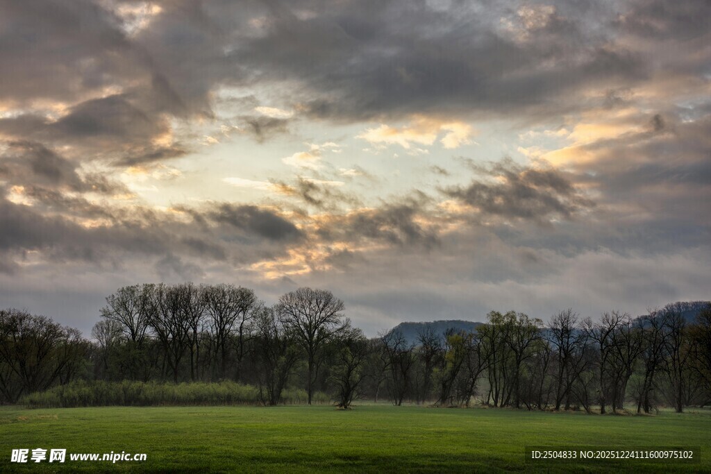 黄昏下的草地与树林景观