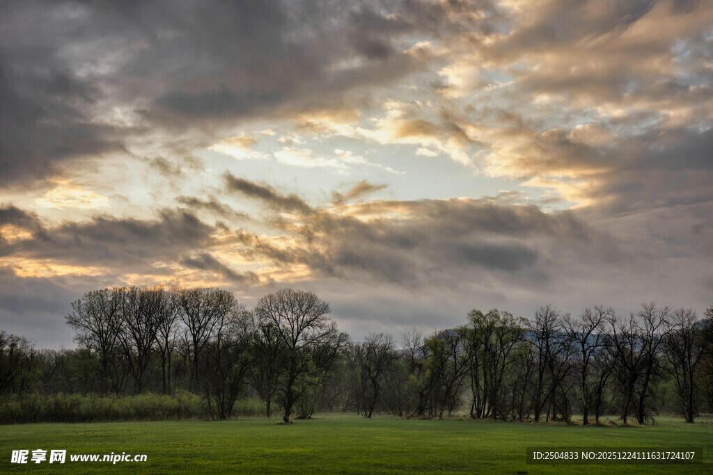 黄昏下的草地与树林景观