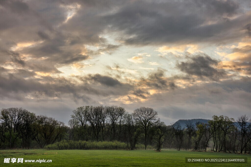 黄昏下的草地与树林景观