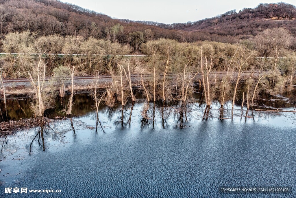 湖畔枯树倒影的静谧风光