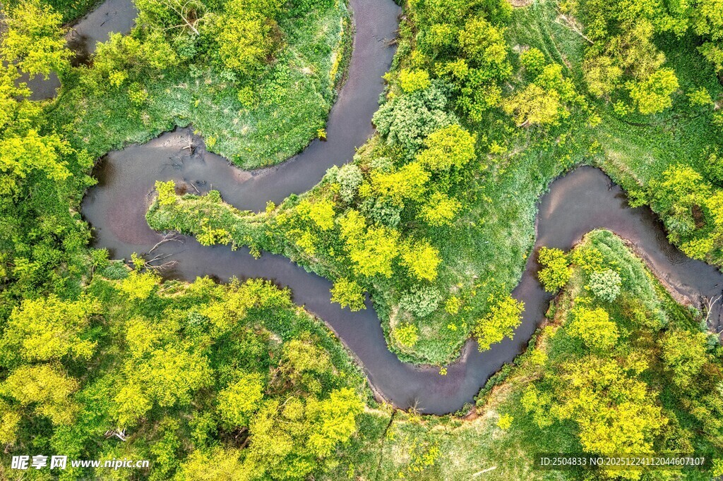 蜿蜒公路穿梭葱郁山林
