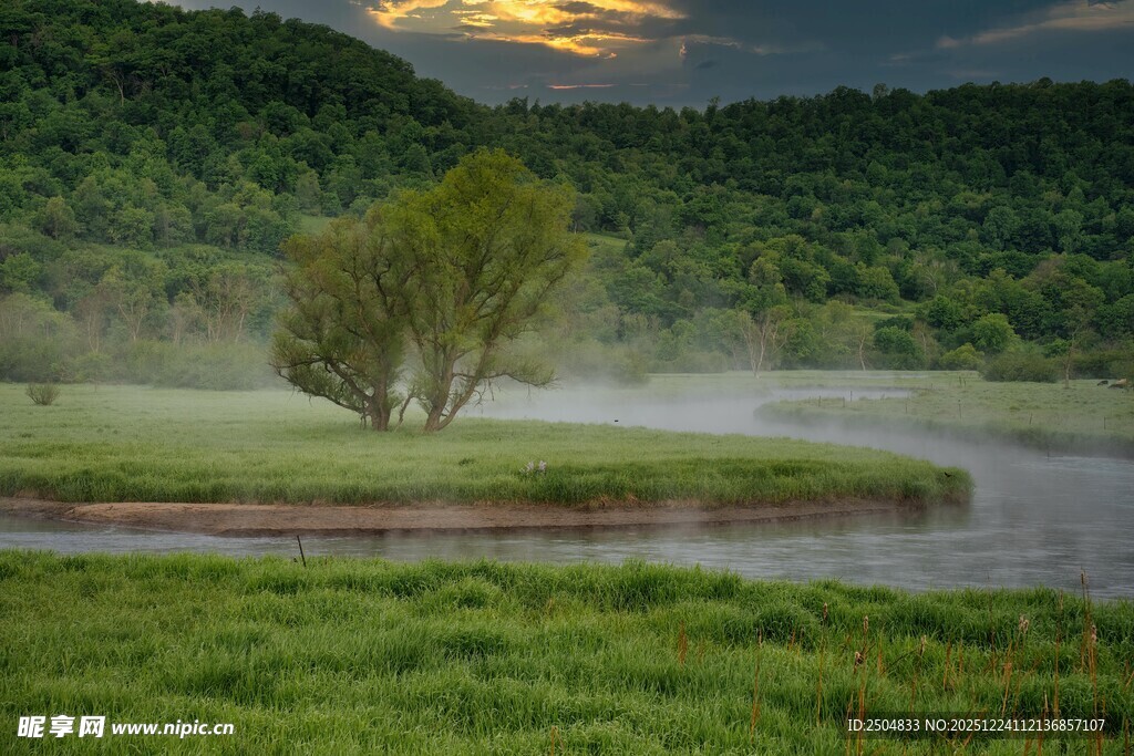 清晨河畔孤树的静谧美景