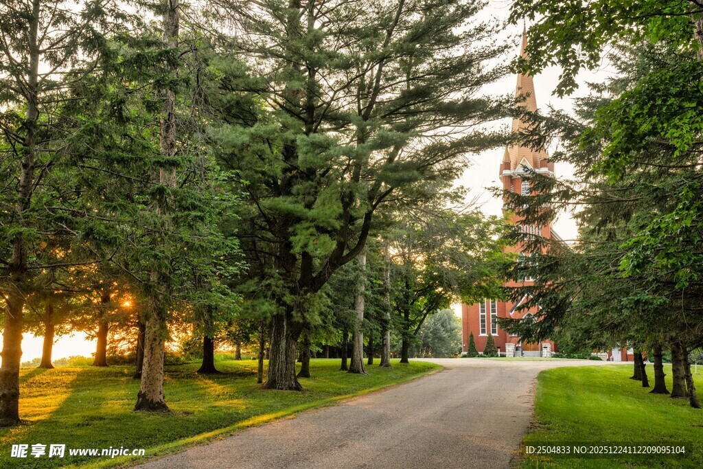 林间幽径 绿意盎然的景致