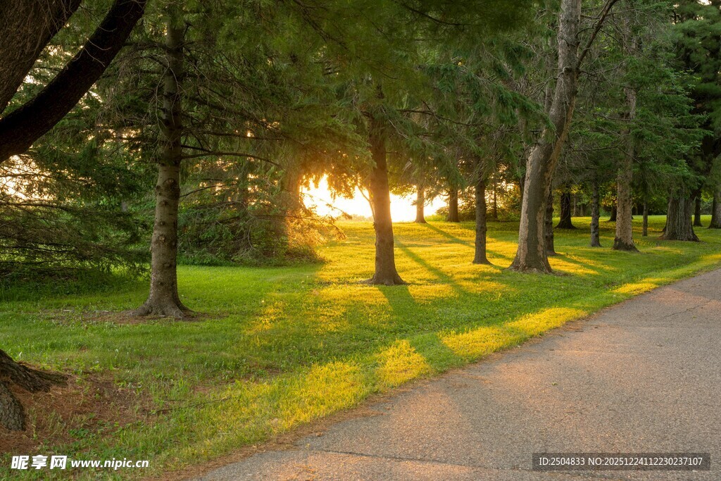 林间小道的落日美好景象