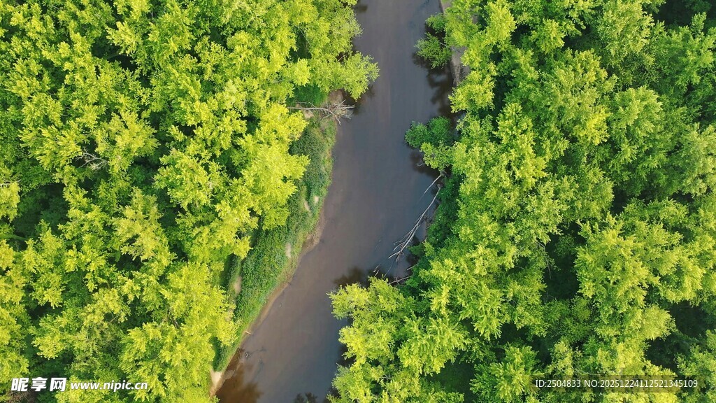 俯瞰翠绿间蜿蜒小河