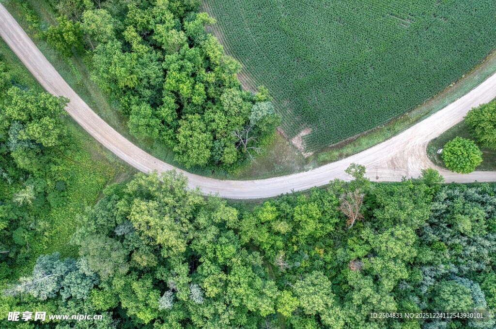 俯瞰林间蜿蜒小路