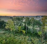 黄昏下的田野树林美景