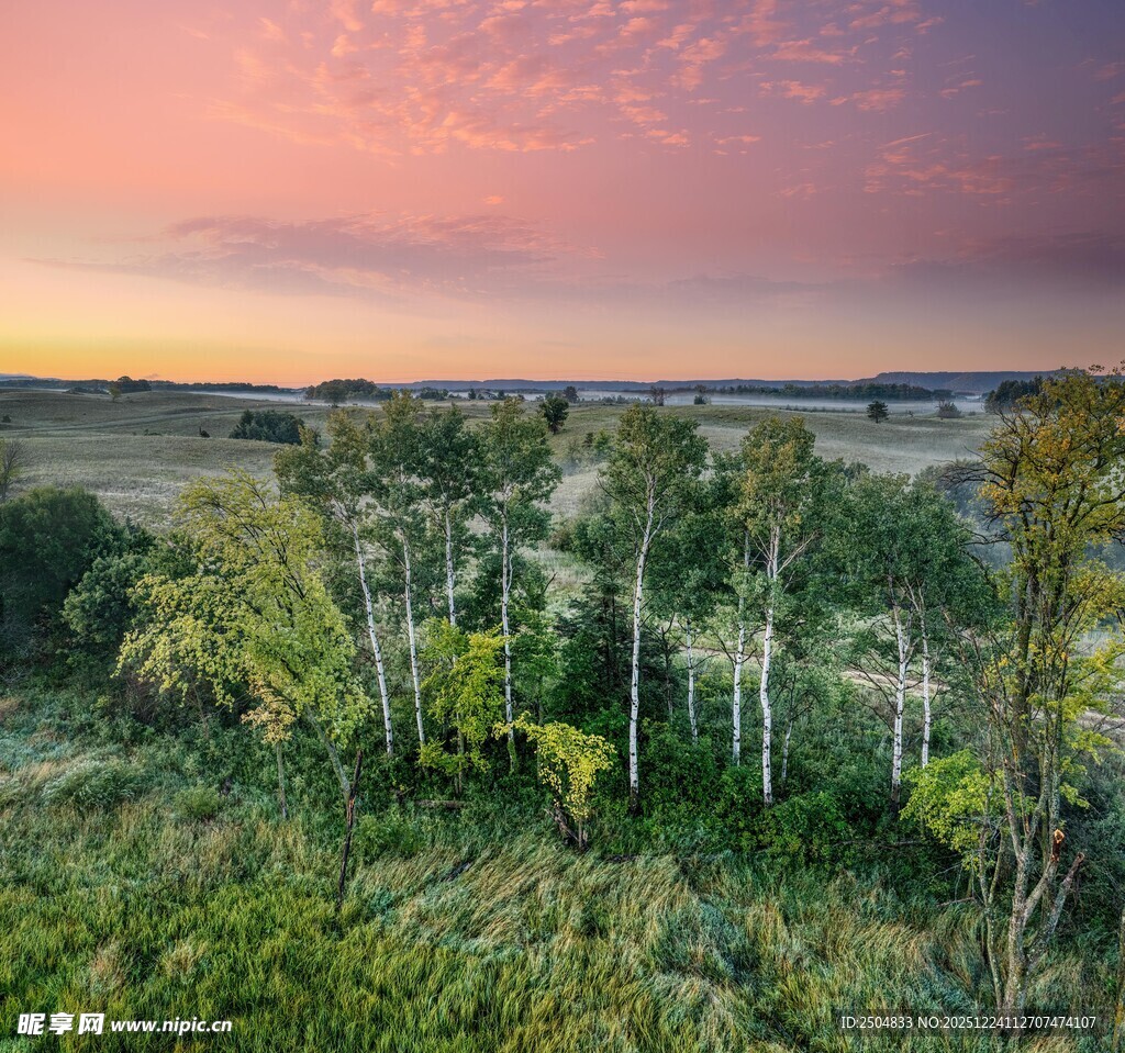 黄昏下的田野树林美景