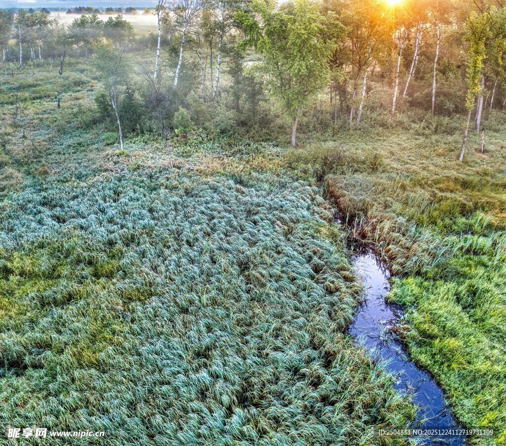 湿地溪流景观
