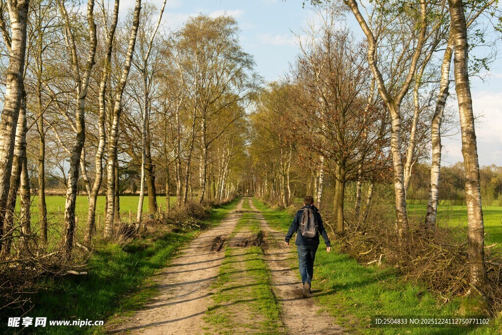漫步林间小道的独行身影