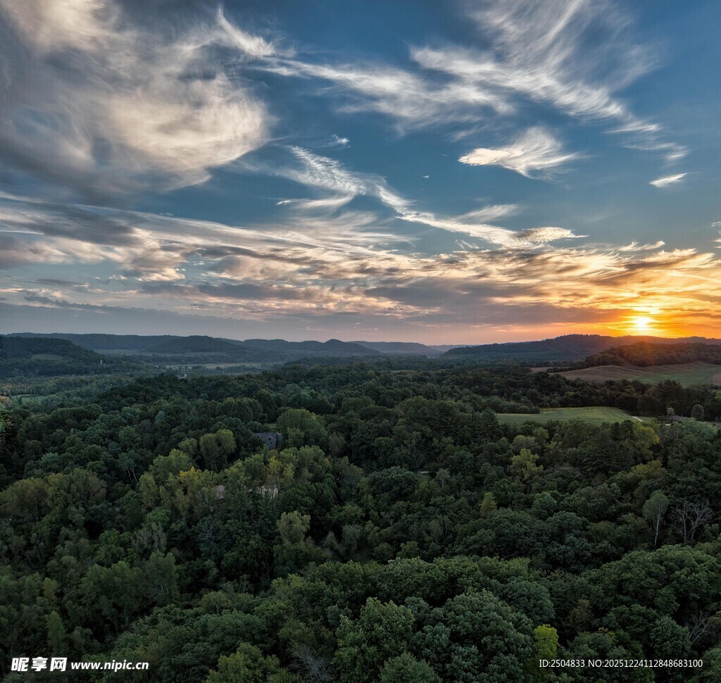 日落时分的茂密森林景观