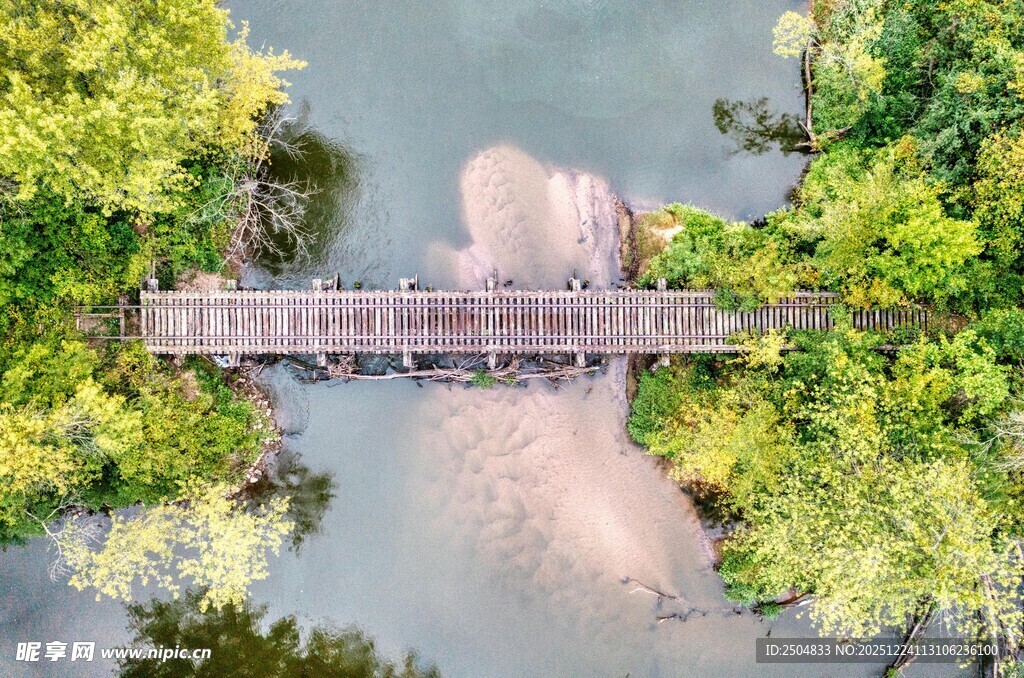 湖上木桥映绿意