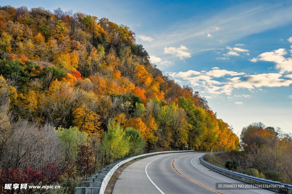秋日蜿蜒公路旁斑斓山林