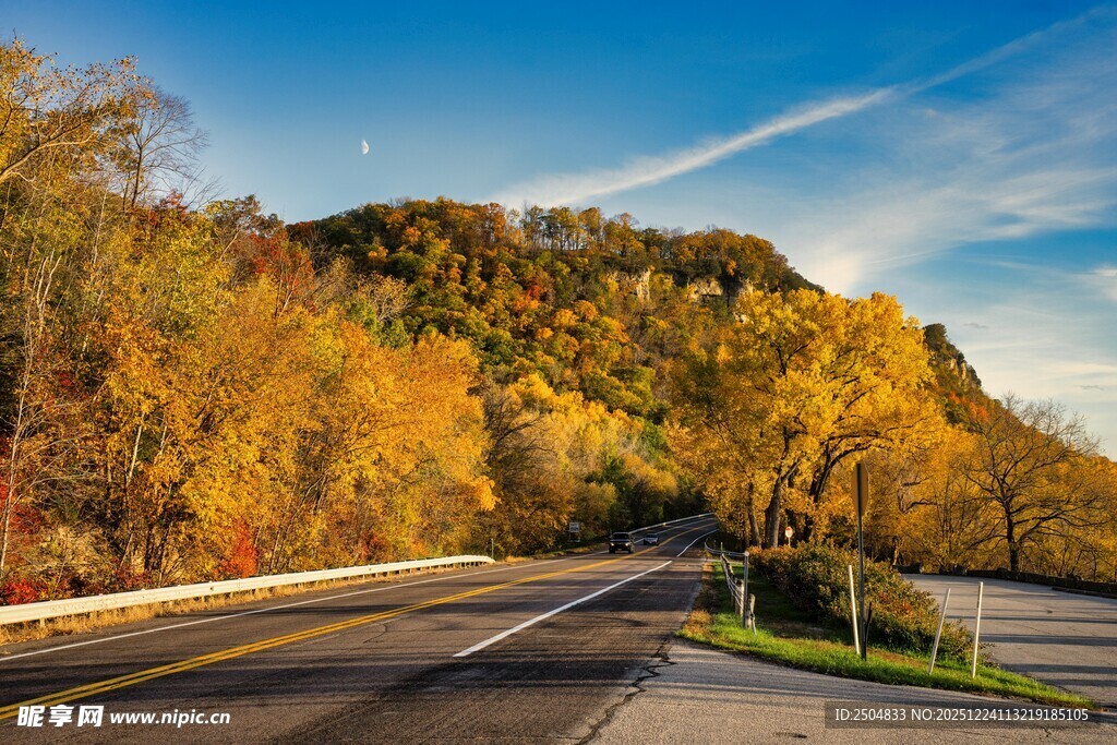 秋日公路边的斑斓树林