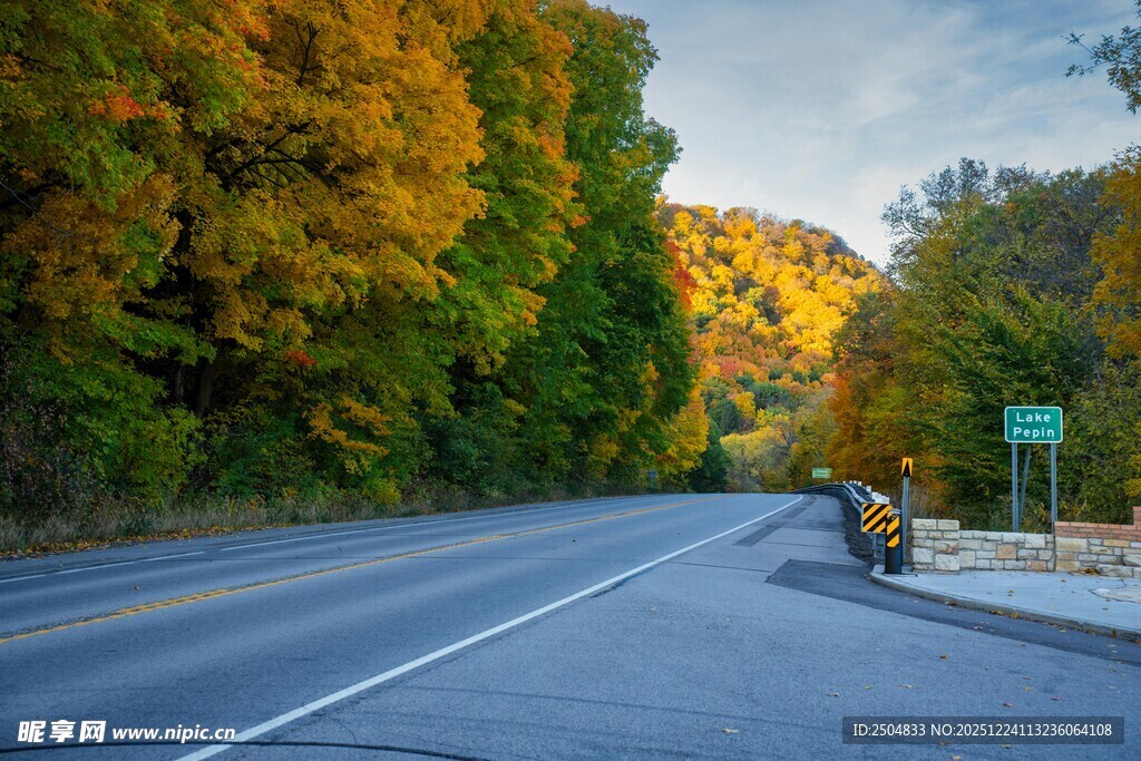 秋日林间公路美景