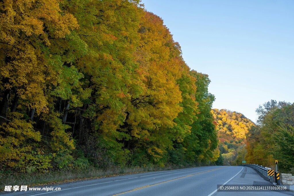 秋日公路旁斑斓树林景色