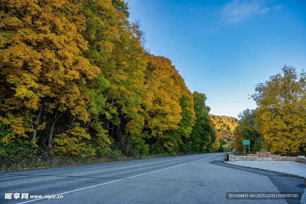 秋日公路旁斑斓树林美景