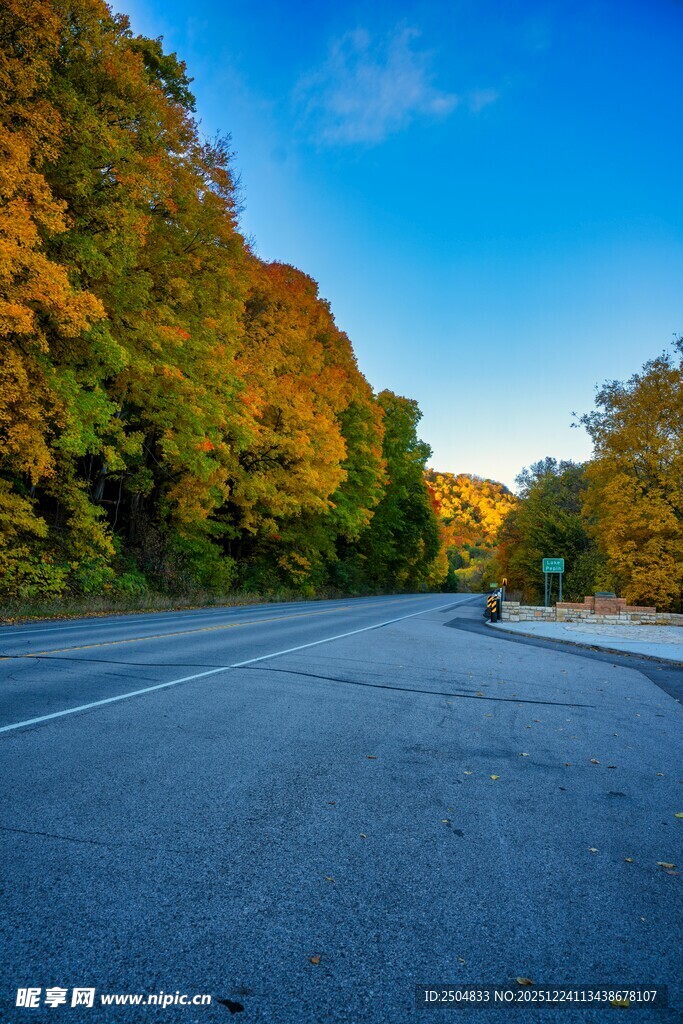 秋日公路旁的斑斓树林