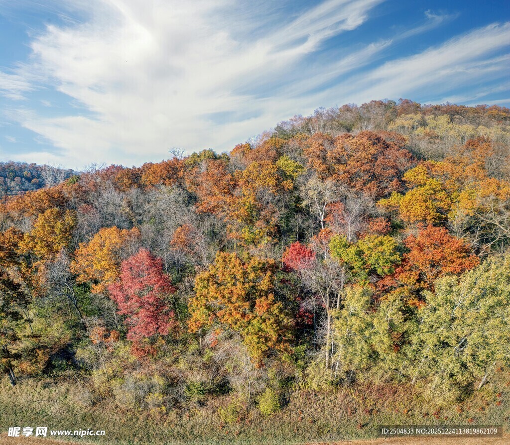 秋日山林斑斓美景