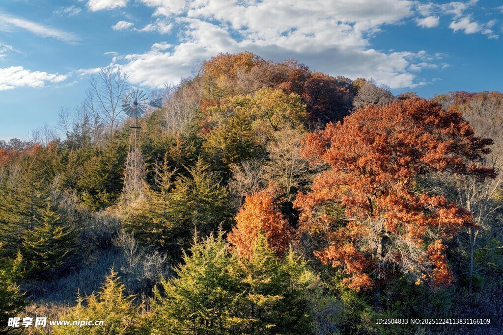 秋日山林斑斓美景