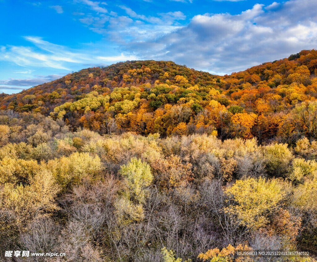 秋日山林绚丽风光