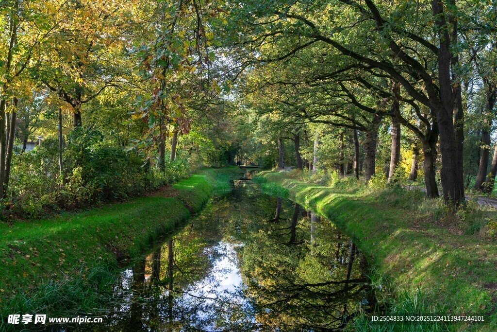林间小河畔的秋日美景