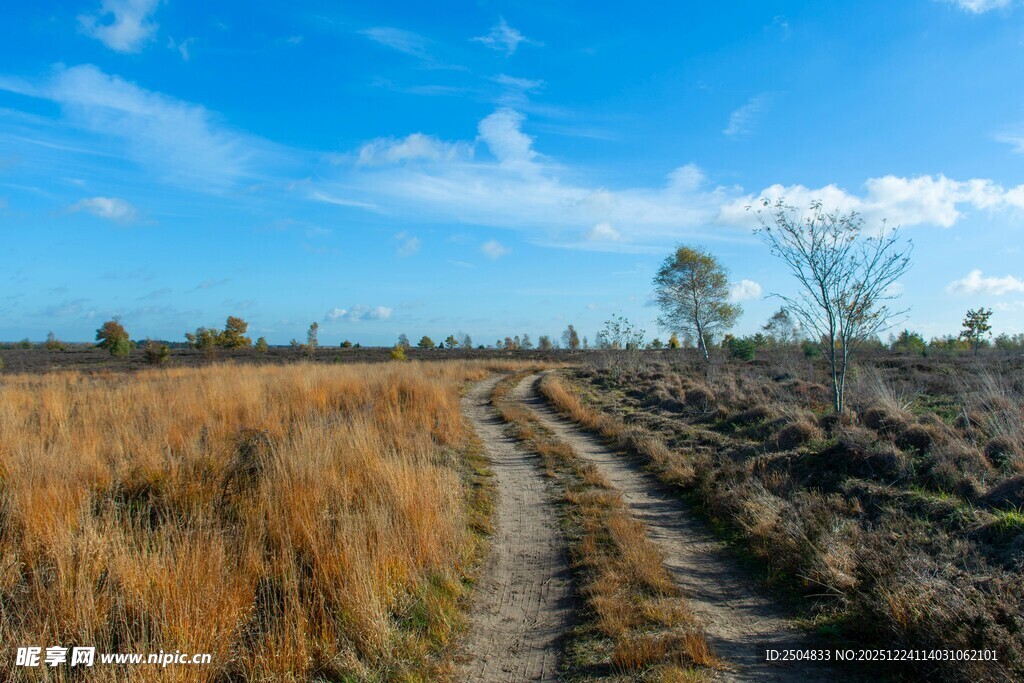 旷野中的蜿蜒小路