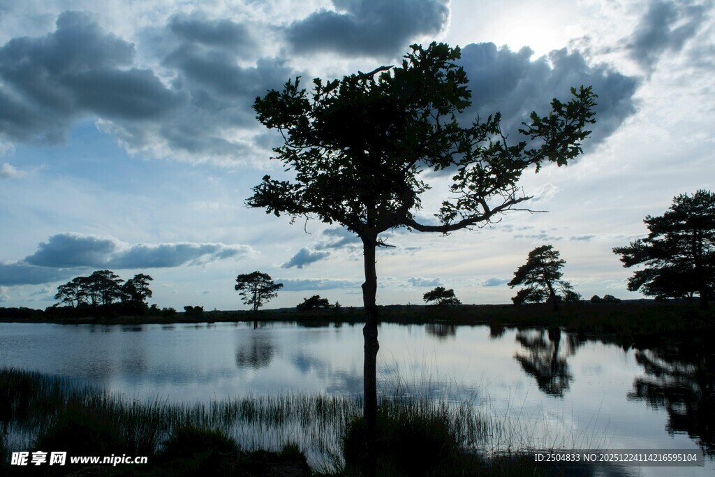 湖畔孤树与天空倒影