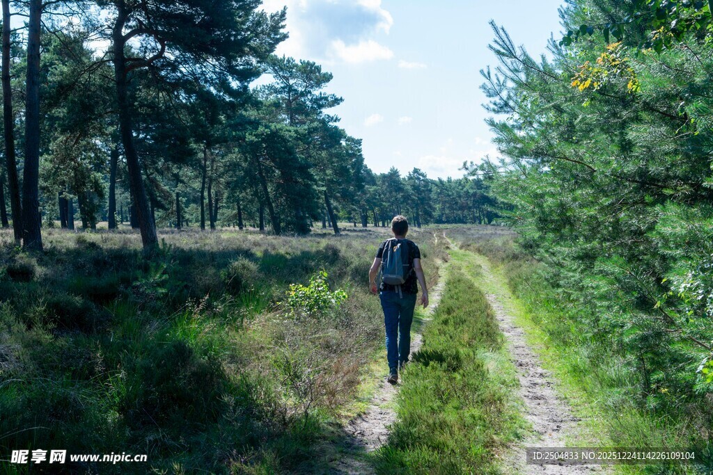 漫步林间小道的背包旅人